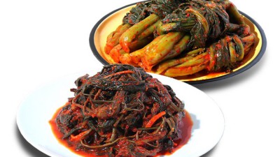 놓치면 후회! 산지직송 갓김치 솔직 후기 & 꿀팁 대방출 🌶️