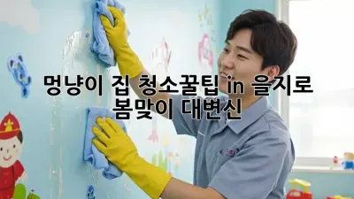 멍냥이 집 청소🧹✨꿀팁 in 을지로 : 봄맞이 대변신!